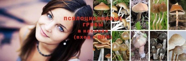 мяу мяу мука Володарск