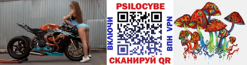 Купить закладки  Гороховец  Псилоцибиновые грибы MAGIC MUSHROOMS 