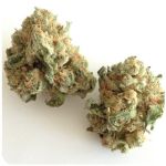 Шишки "White Widow"  (Белая вдова)  Гидропоника -  Бошка VHQ в Гороховце