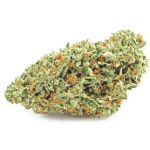 Шишки OG Kush  (Гидропоника, бошки) VHQ в Гороховце